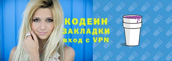 ешки Болотное