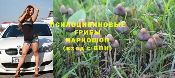 гашишное масло Заводоуковск
